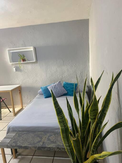 Apartamento Departamento Centro De *