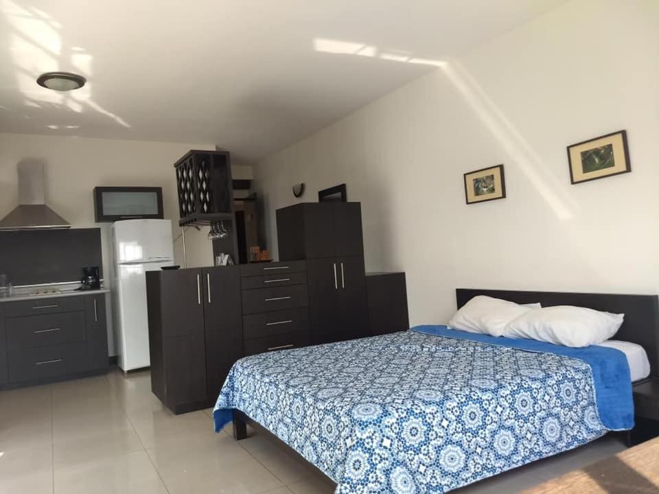 Confort Ejecutivo Suites Del Valle Hotel 4*