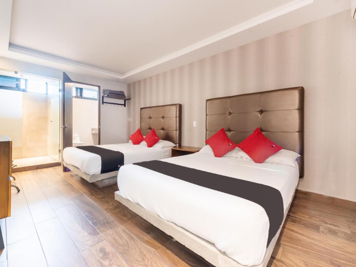 Hotel Hotel 202 Monterrey